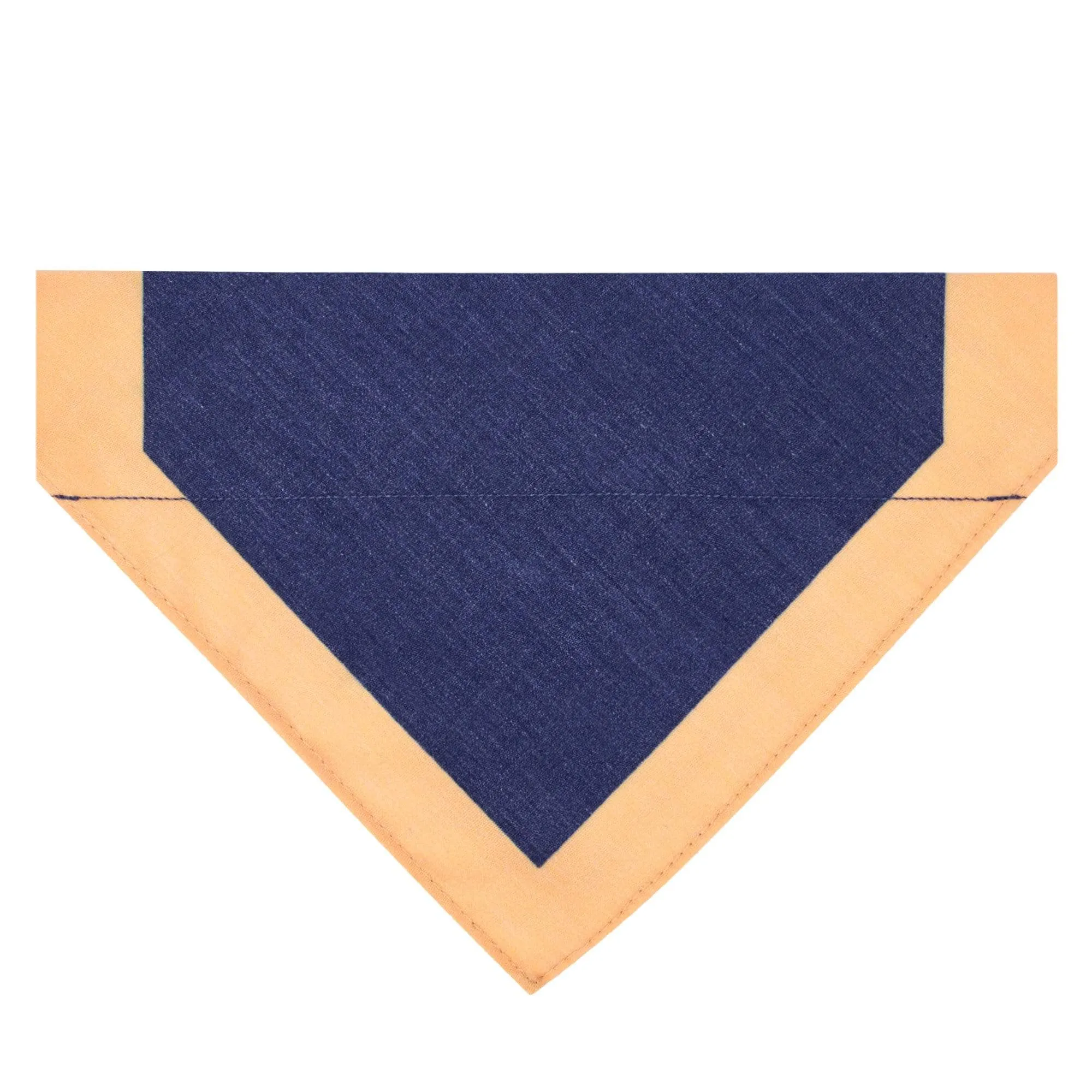 Classic Dog Collar with Bandana