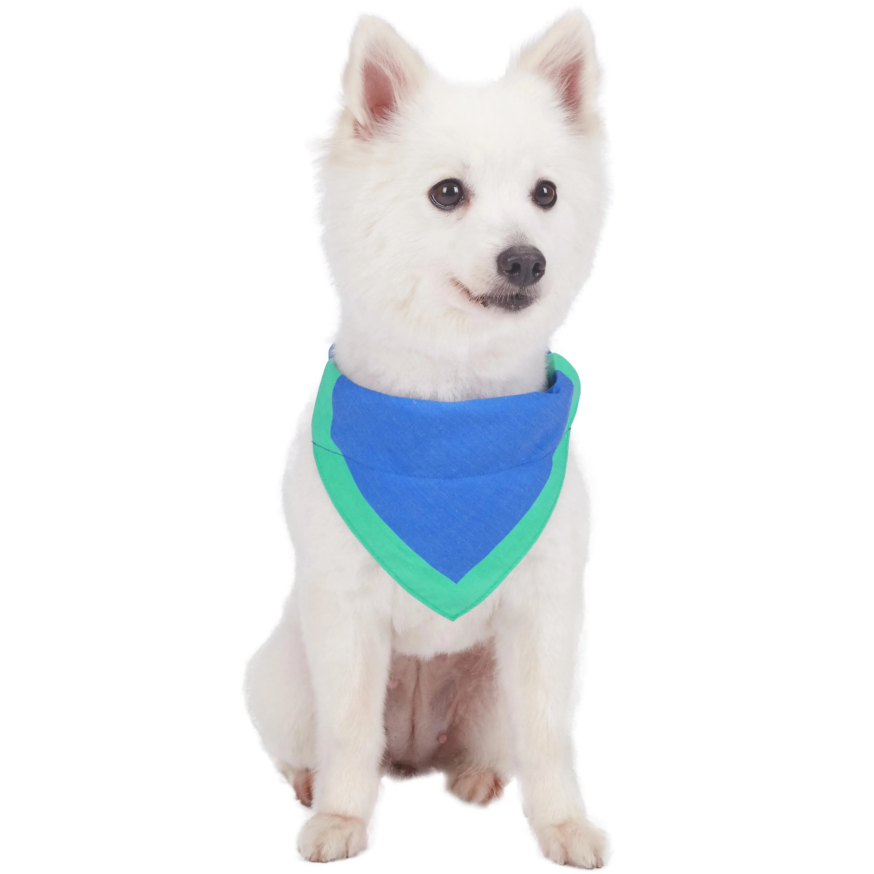 Classic Dog Collar with Bandana