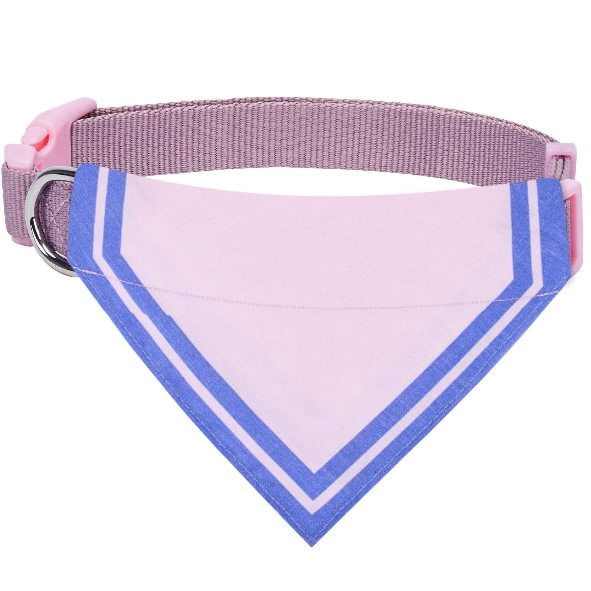 Classic Dog Collar with Bandana