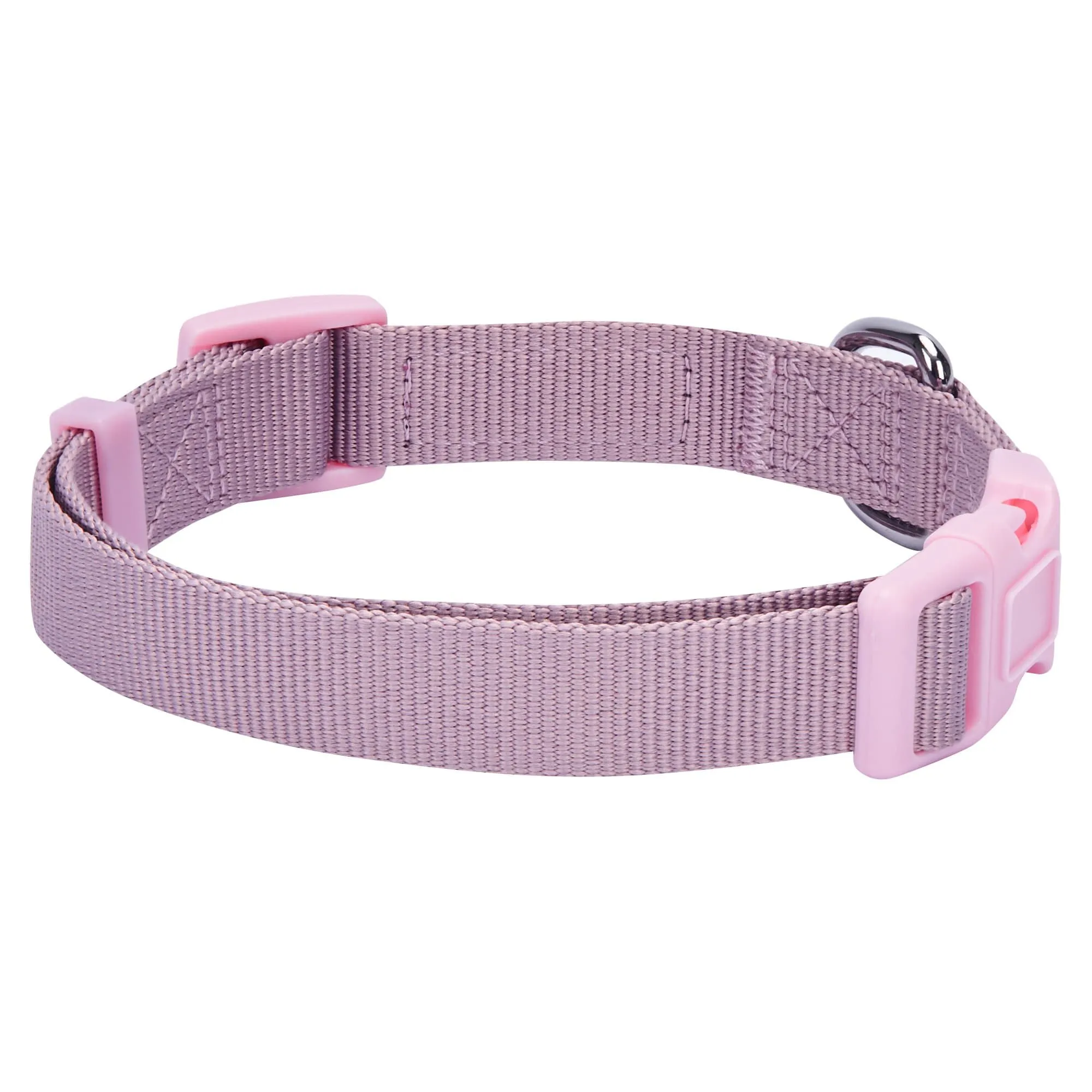 Classic Dog Collar with Bandana