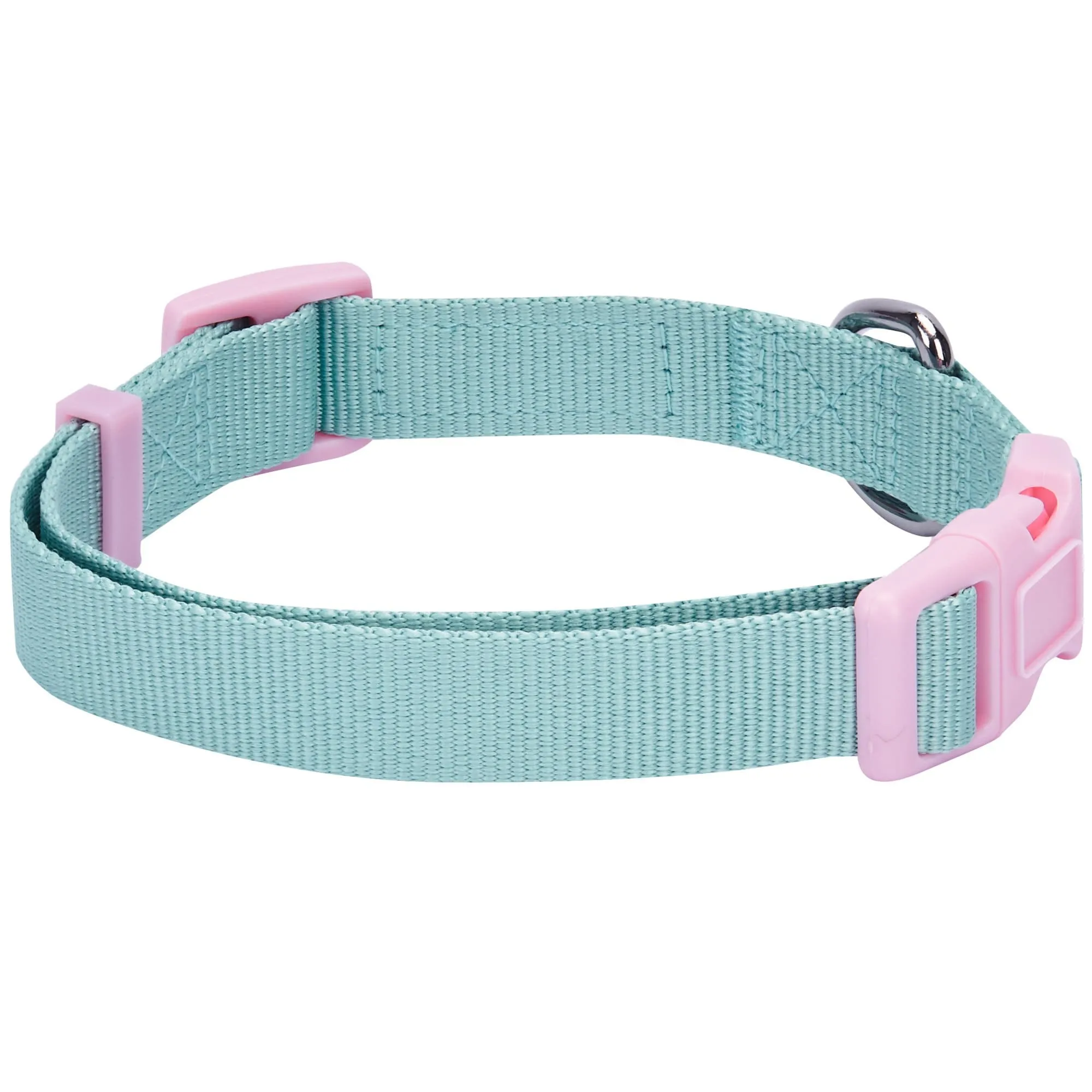 Classic Dog Collar with Bandana