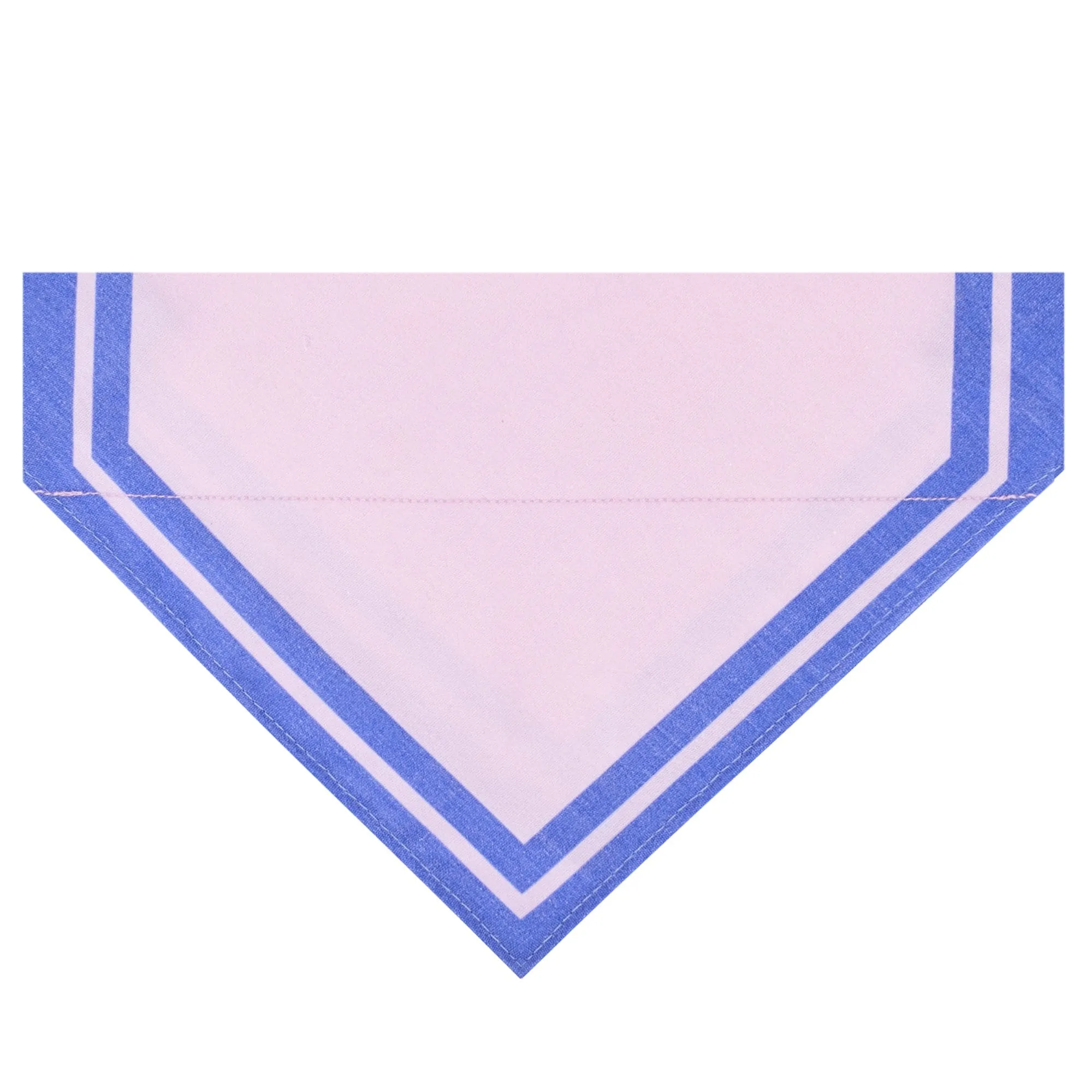 Classic Dog Collar with Bandana