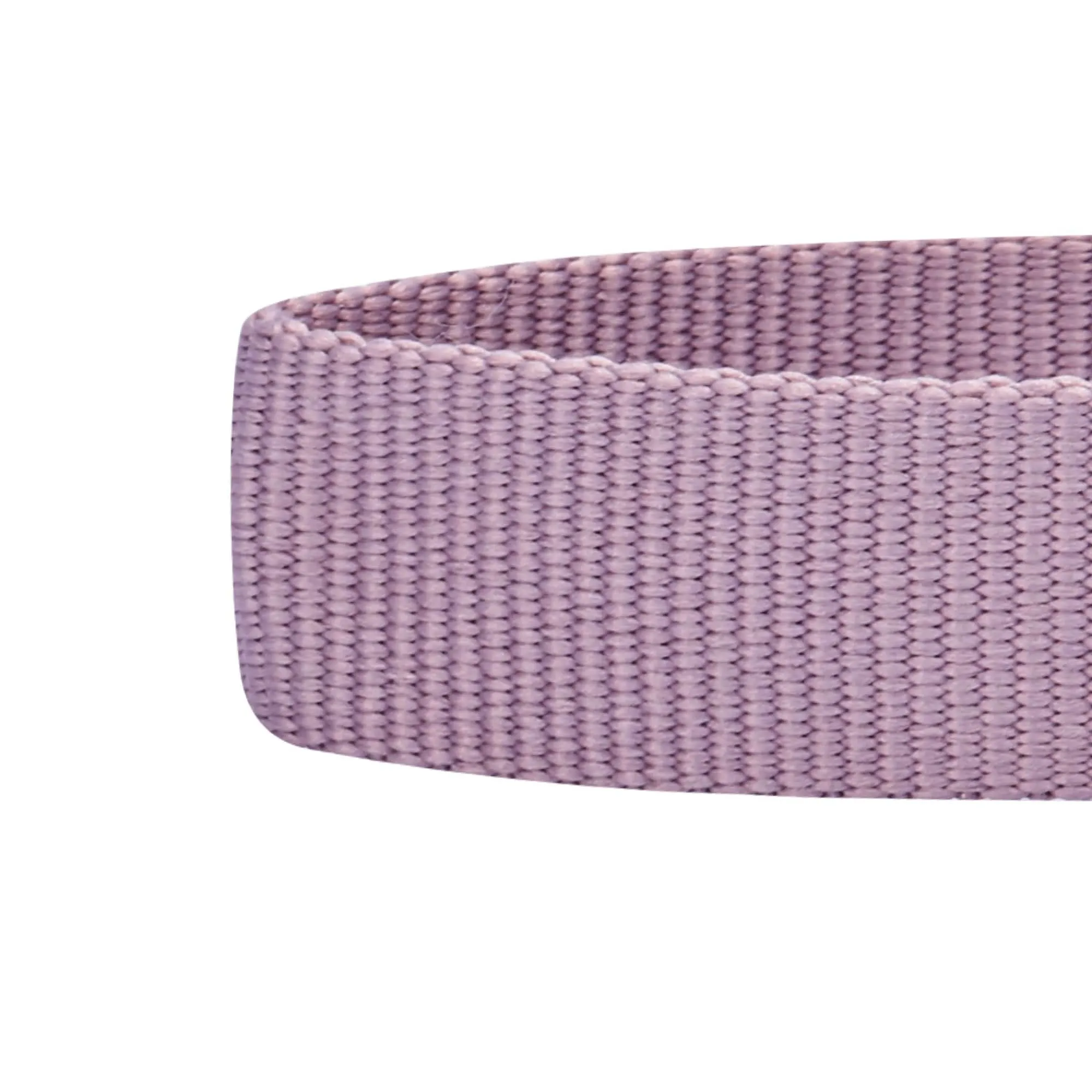 Classic Dog Collar with Bandana