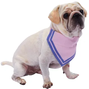 Classic Dog Collar with Bandana