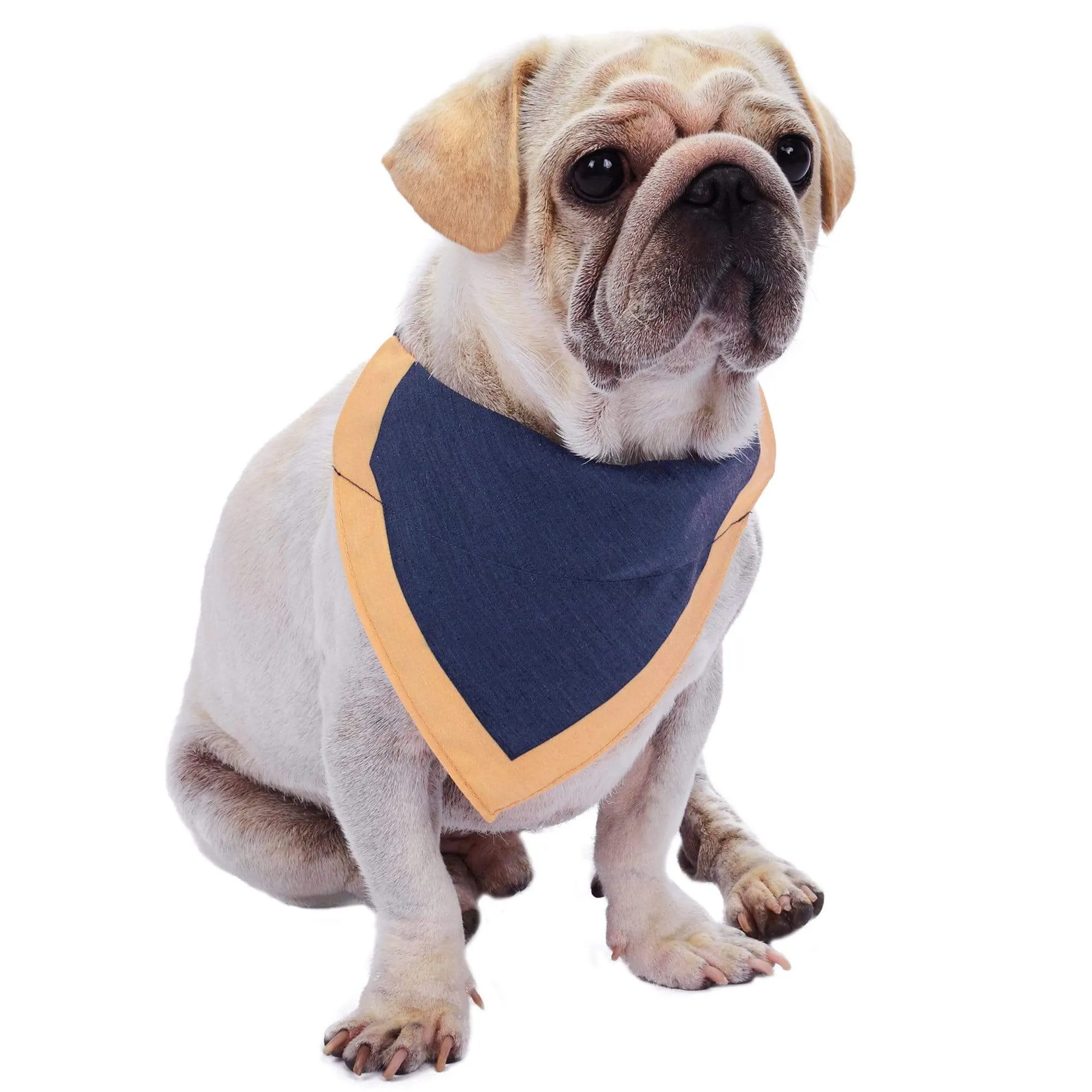 Classic Dog Collar with Bandana