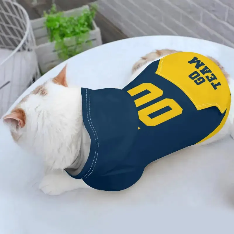 Custom Blue and Gold Dog Hoodie for Your Pet's Style