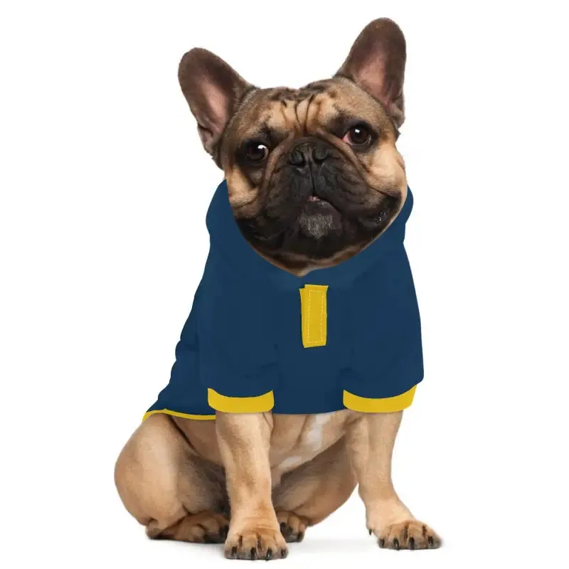 Custom Blue and Gold Dog Hoodie for Your Pet's Style