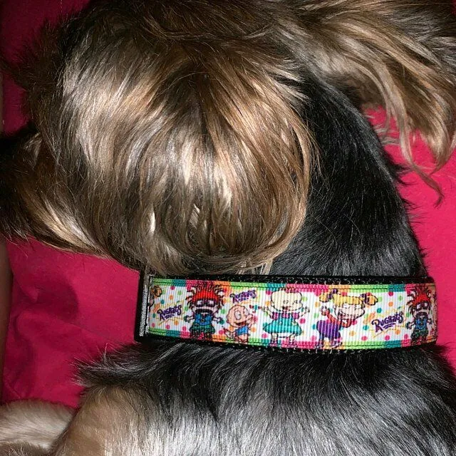 Dachshund Key Fob Wristlet Keychain 1"wide Zipper pull Camera strap handmade Petcollarshandmade