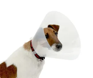 Elizabethan Cone Collar 20cm