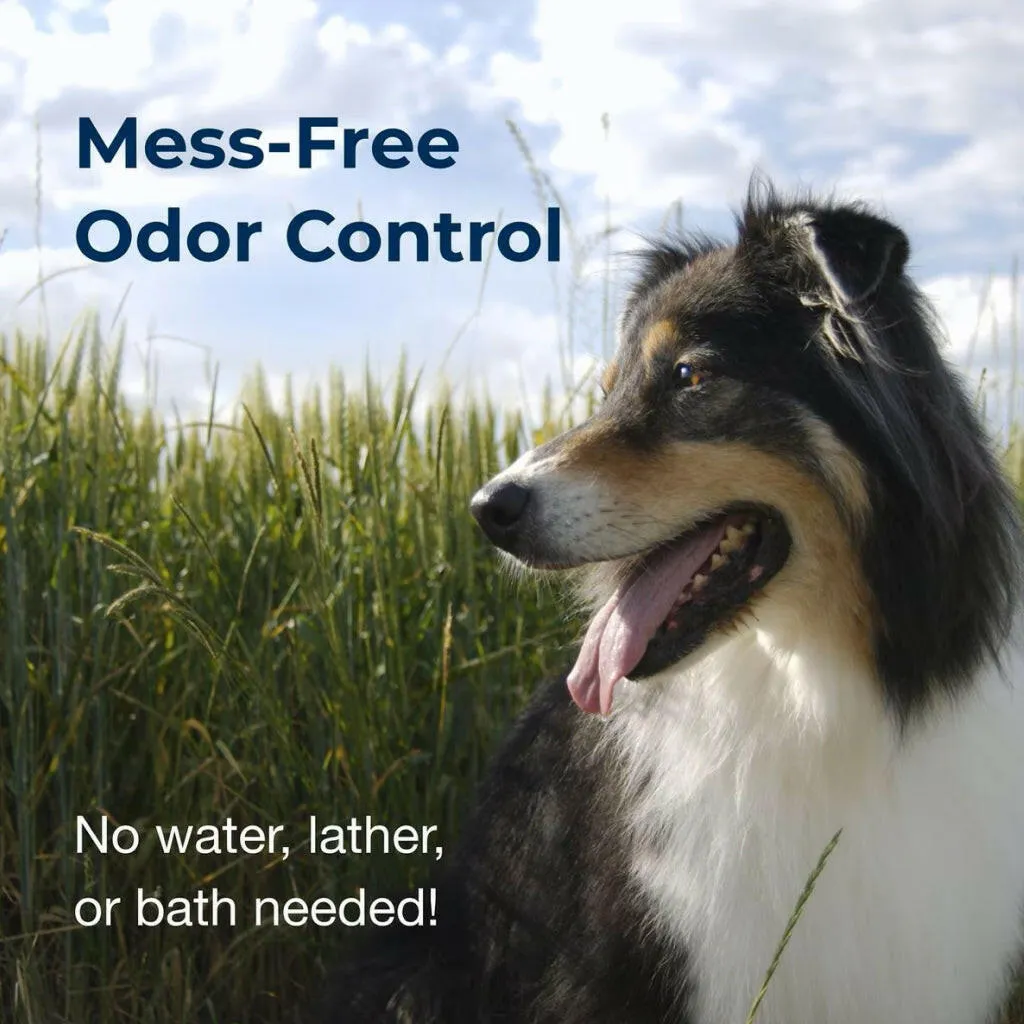 Fresh 'n Clean Cologne Spray for Dogs- Fresh Floral Scent (12 oz)