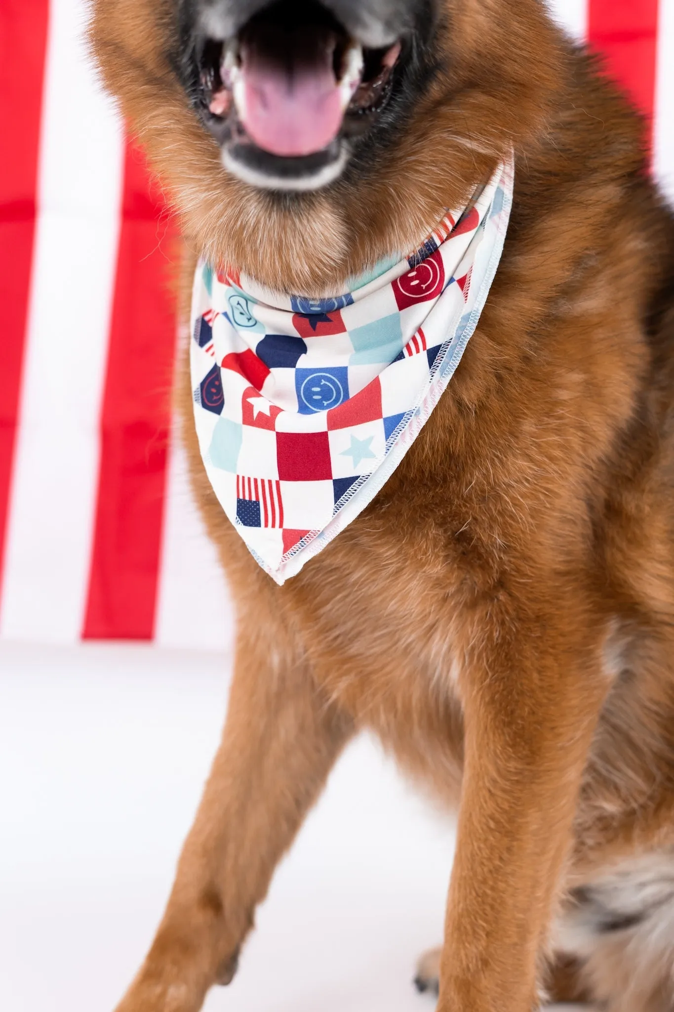 Home Of The Free Checkers Dream Dog Bandana