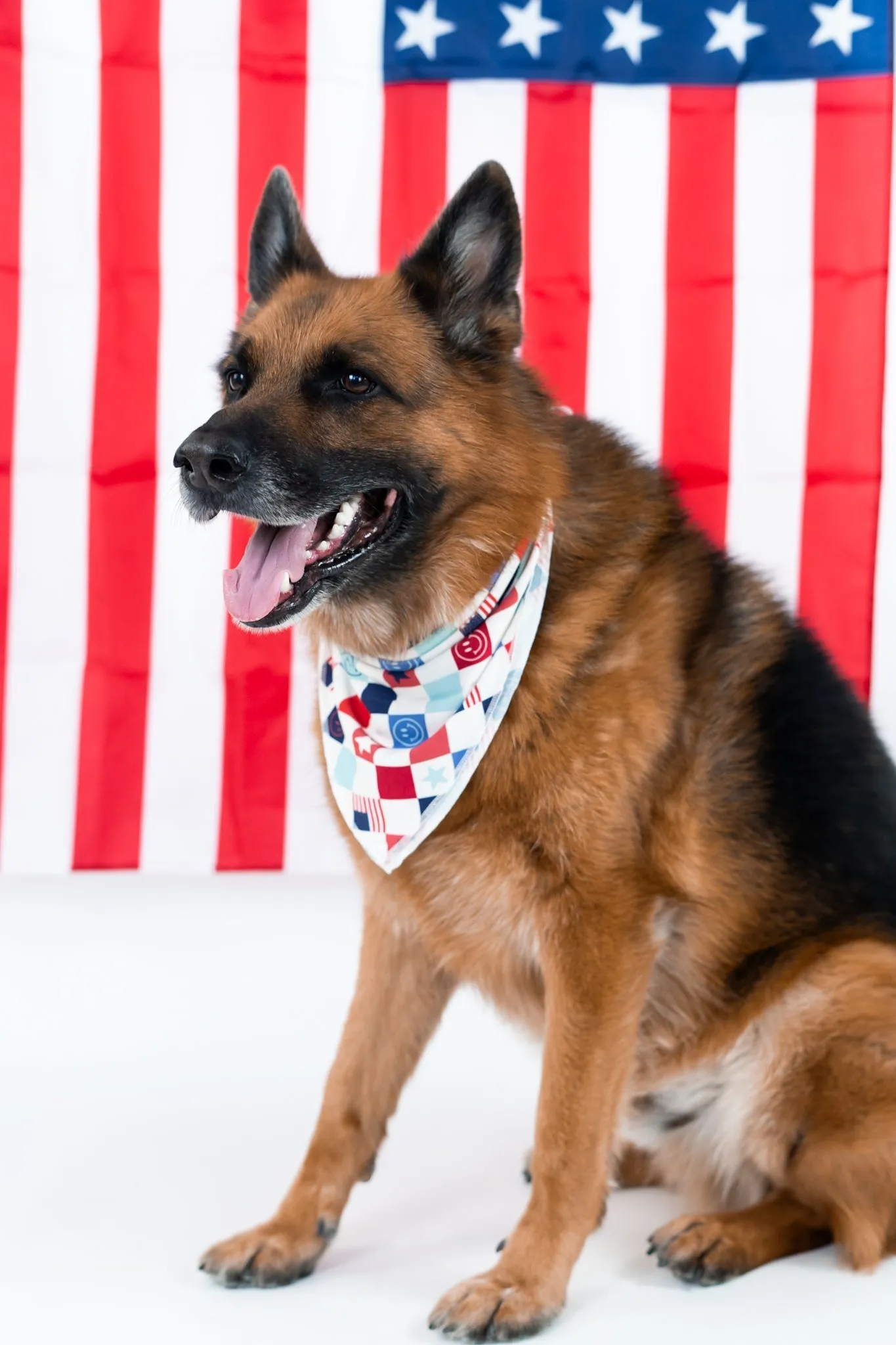 Home Of The Free Checkers Dream Dog Bandana