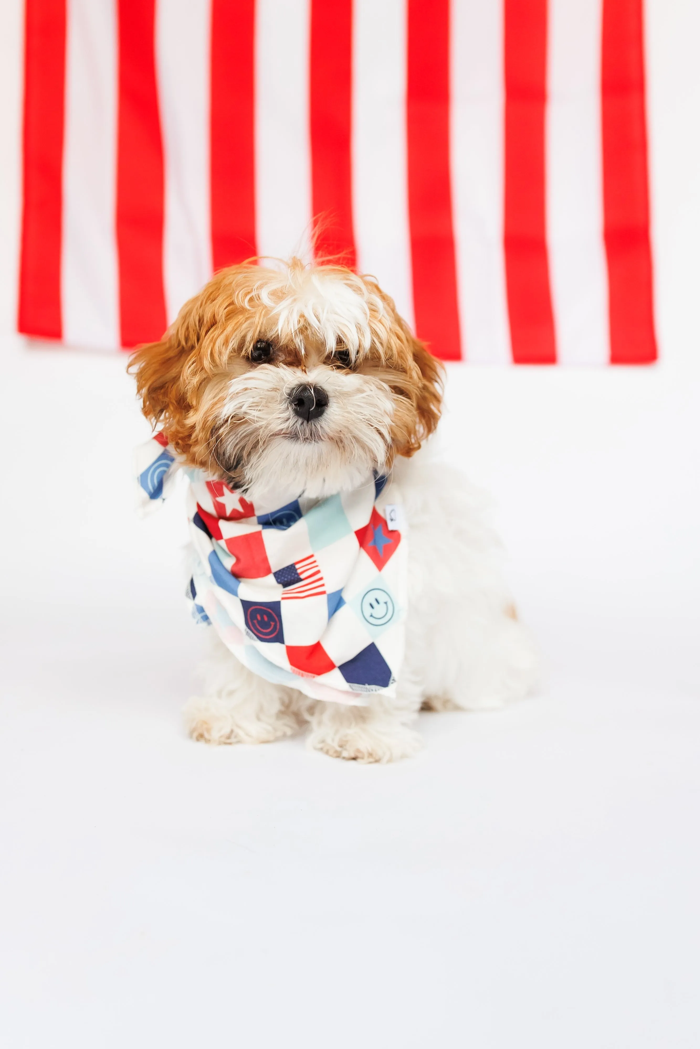 Home Of The Free Checkers Dream Dog Bandana