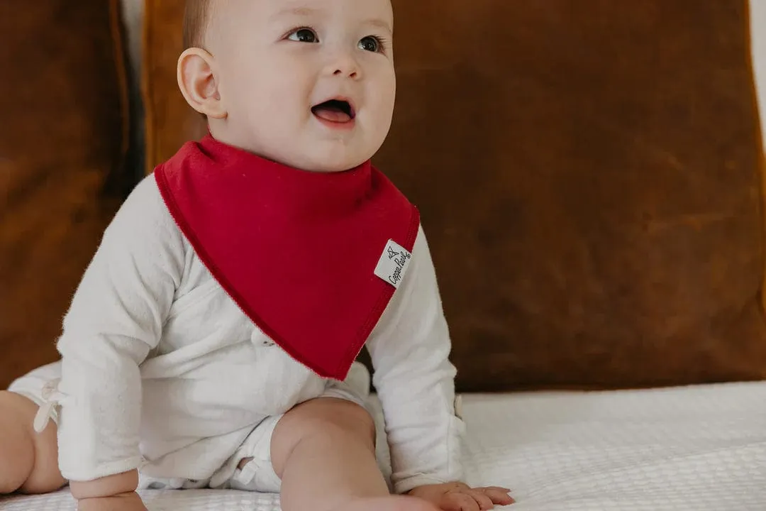 Ivy Bandana Bib Set