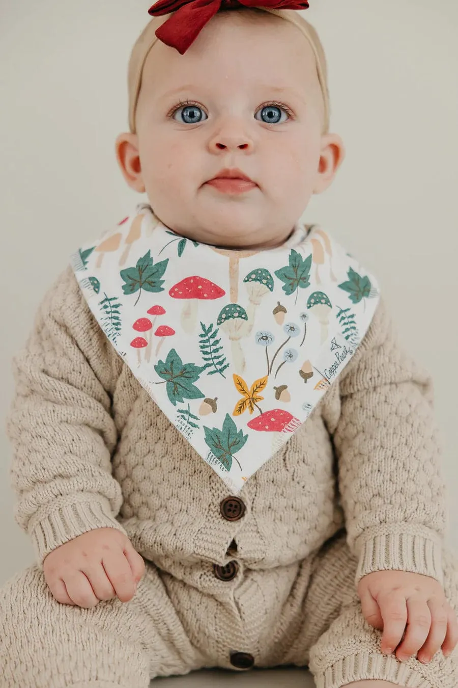 Ivy Bandana Bib Set