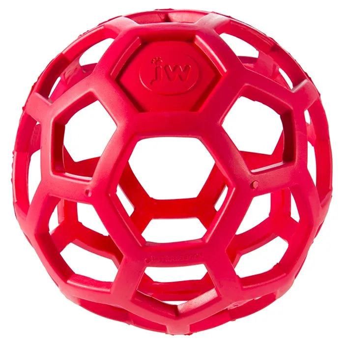 JW Pet Hol-ee-Roller, Holey Ball - Dog Toy For of All Sizes