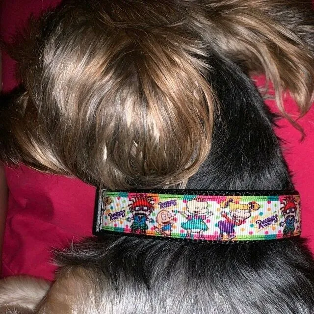 Peanuts Dog Bandana Over the Collar dog bandana Christmas Petcollarshandmade