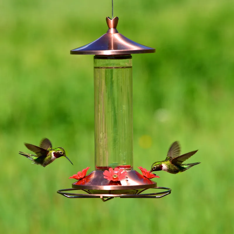 Perky-Pet Hummingbird 12 oz Copper/Glass Nectar Feeder 4 ports