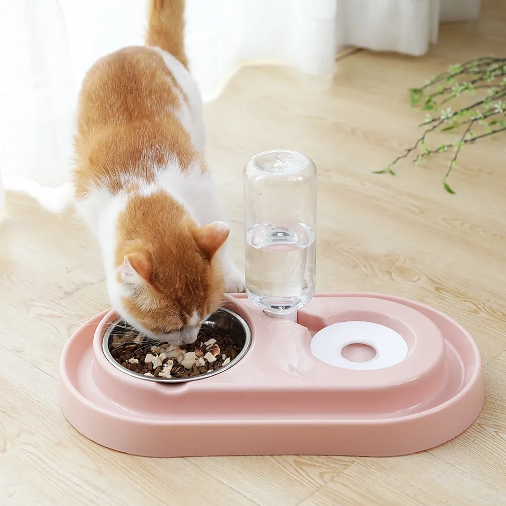 Pet Dish with Water Fountain