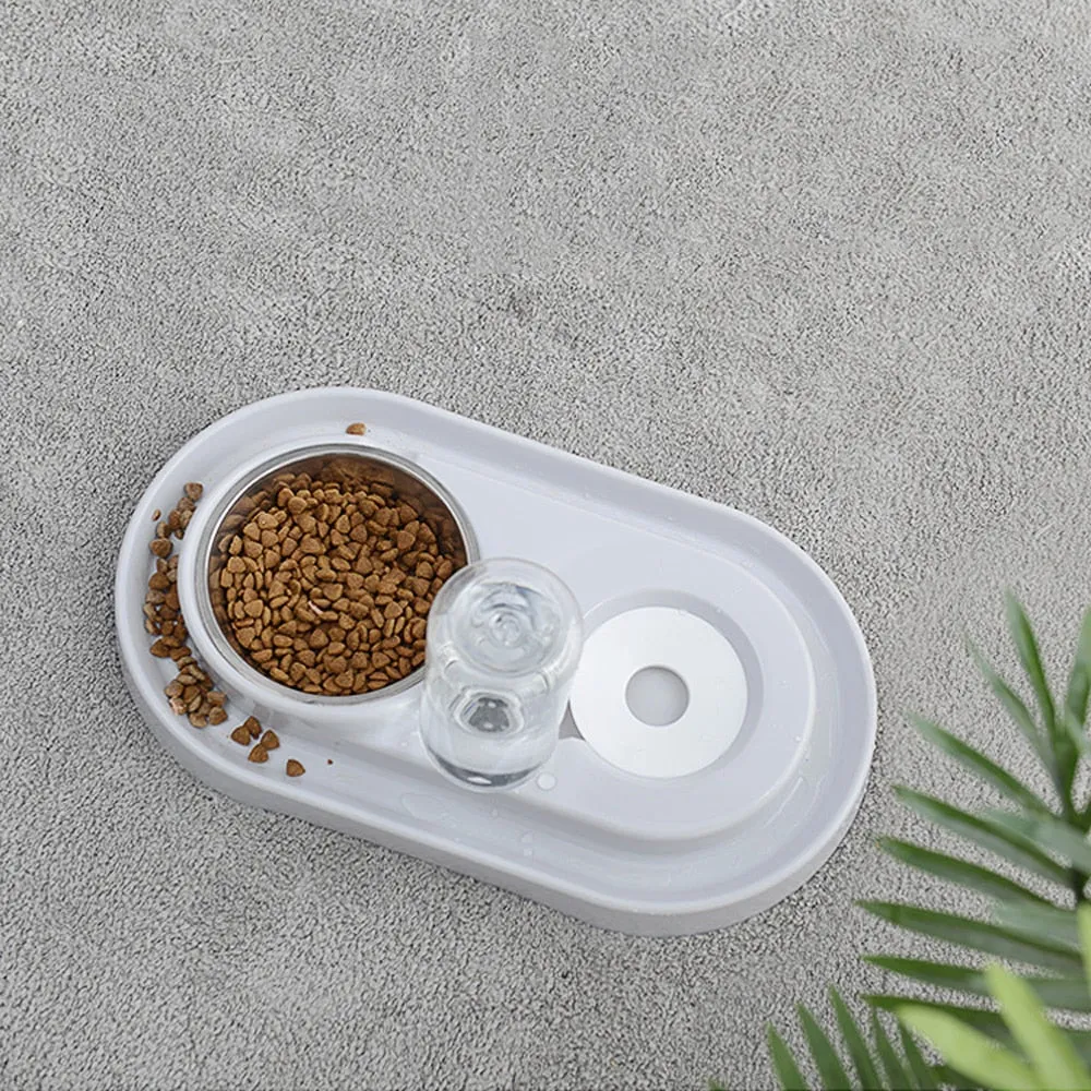 Pet Dish with Water Fountain