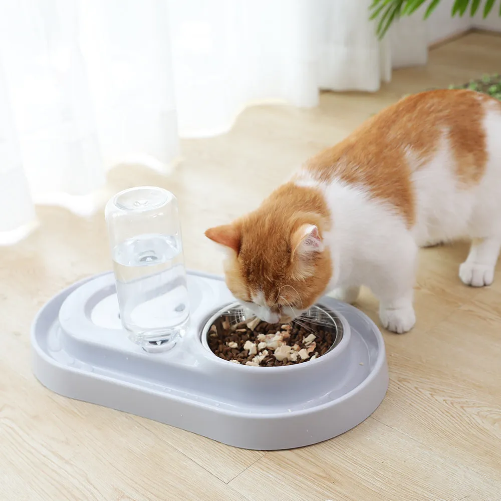 Pet Dish with Water Fountain