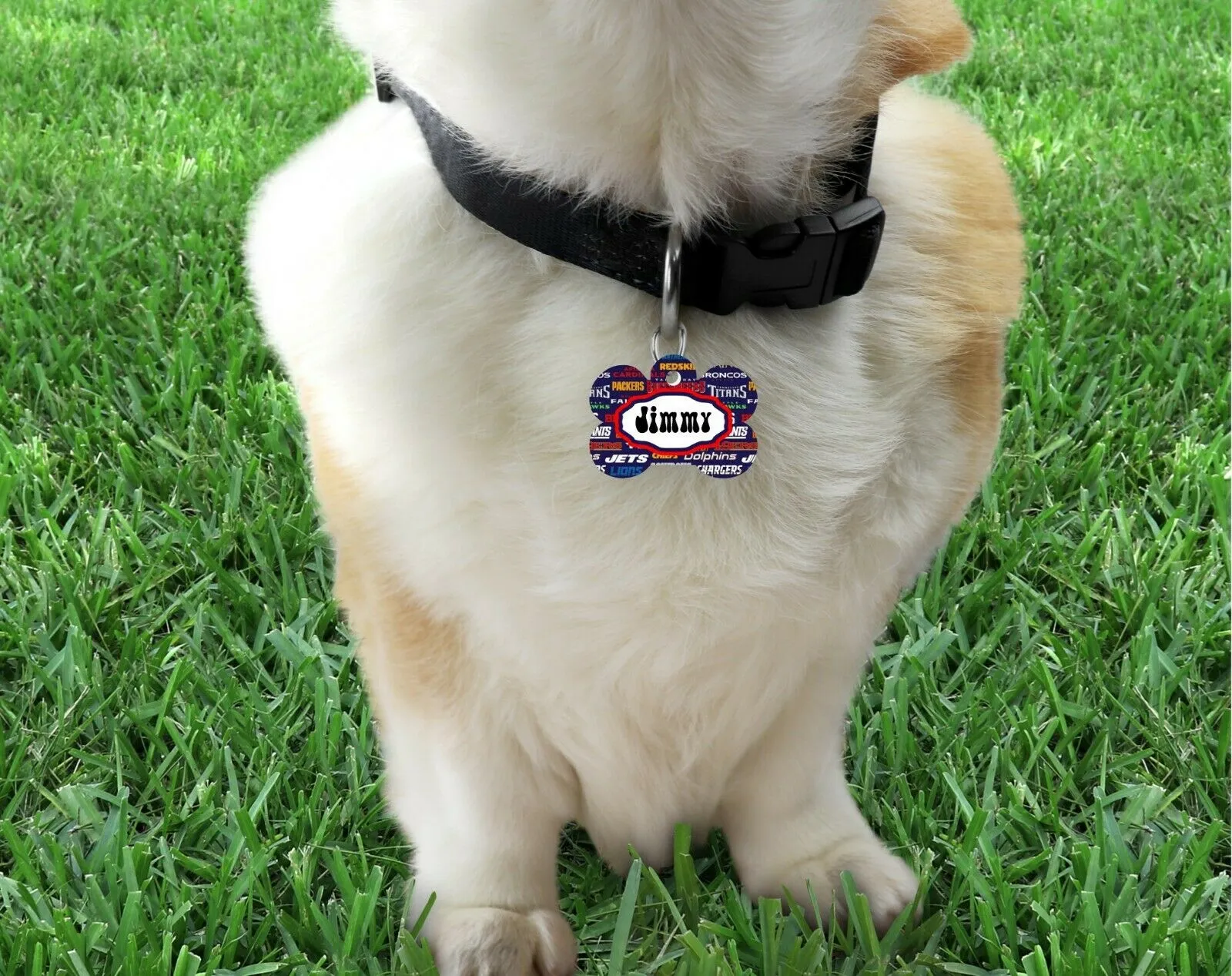 Pet ID Tag Football Teams NFL Personalized Custom Double Sided Pet Tag w/name Petcollarshandmade