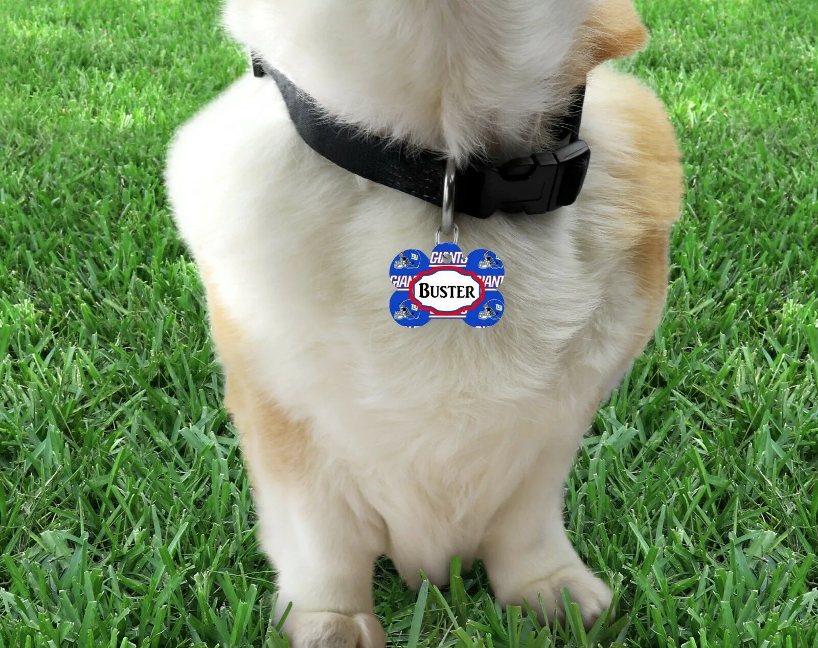 Pet ID Tag New York Giants Personalized Custom Double Sided Pet Tag w/name & num Petcollarshandmade