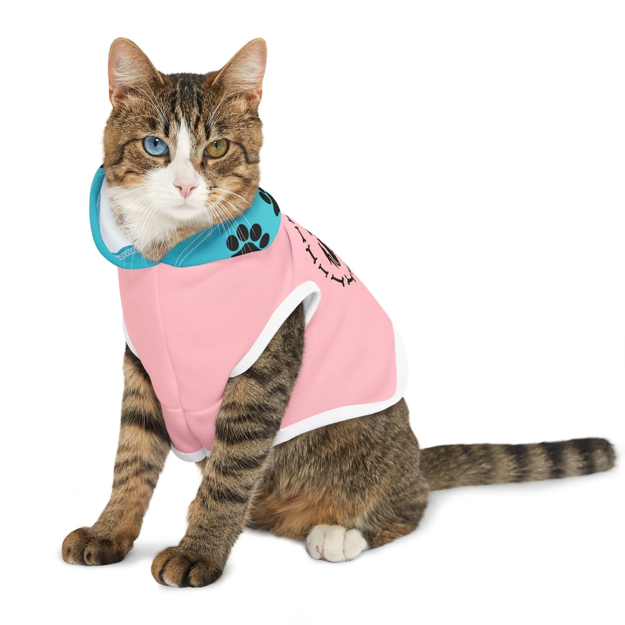 Pet Pals Paired Paws Pullovers Pet Hoodie