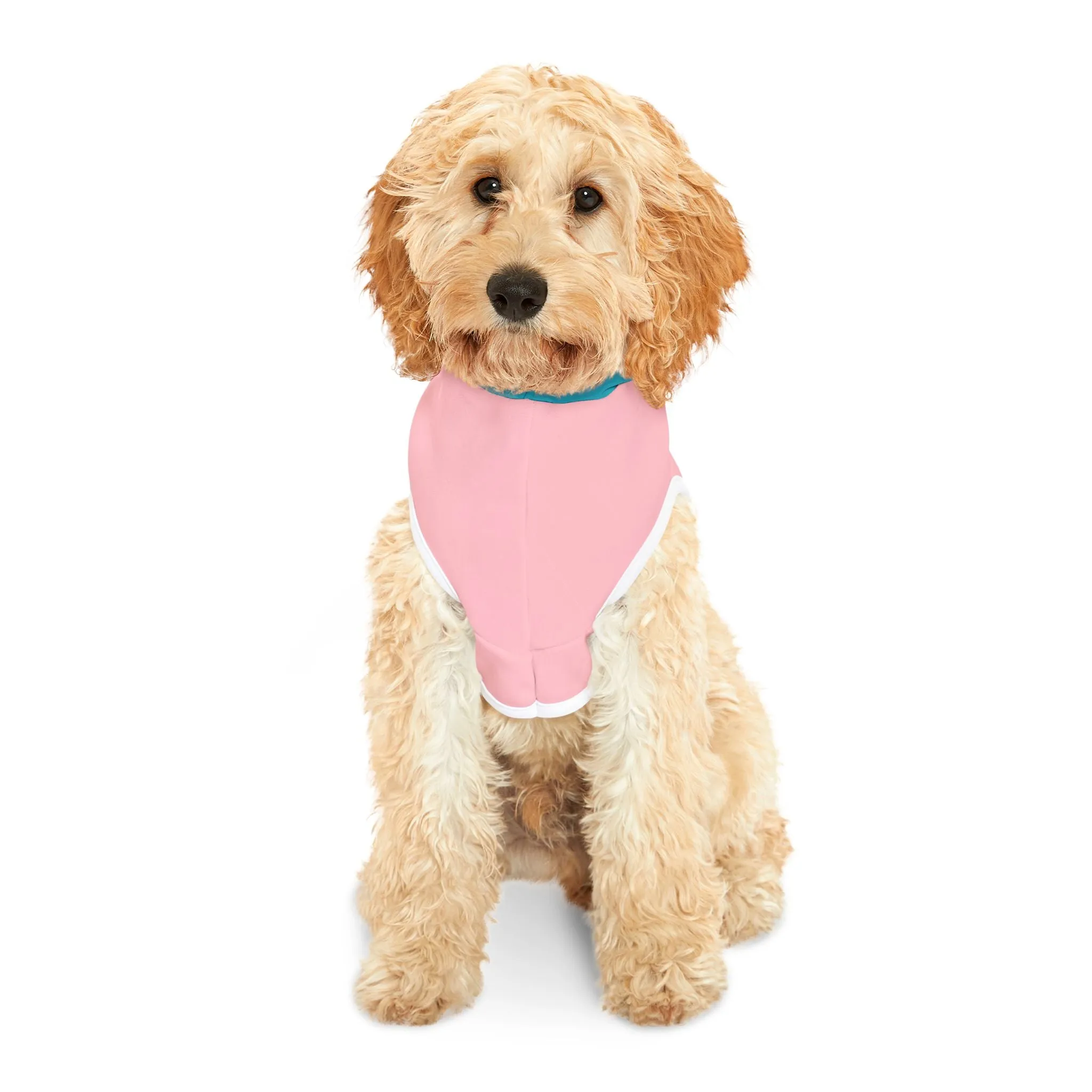 Pet Pals Paired Paws Pullovers Pet Hoodie