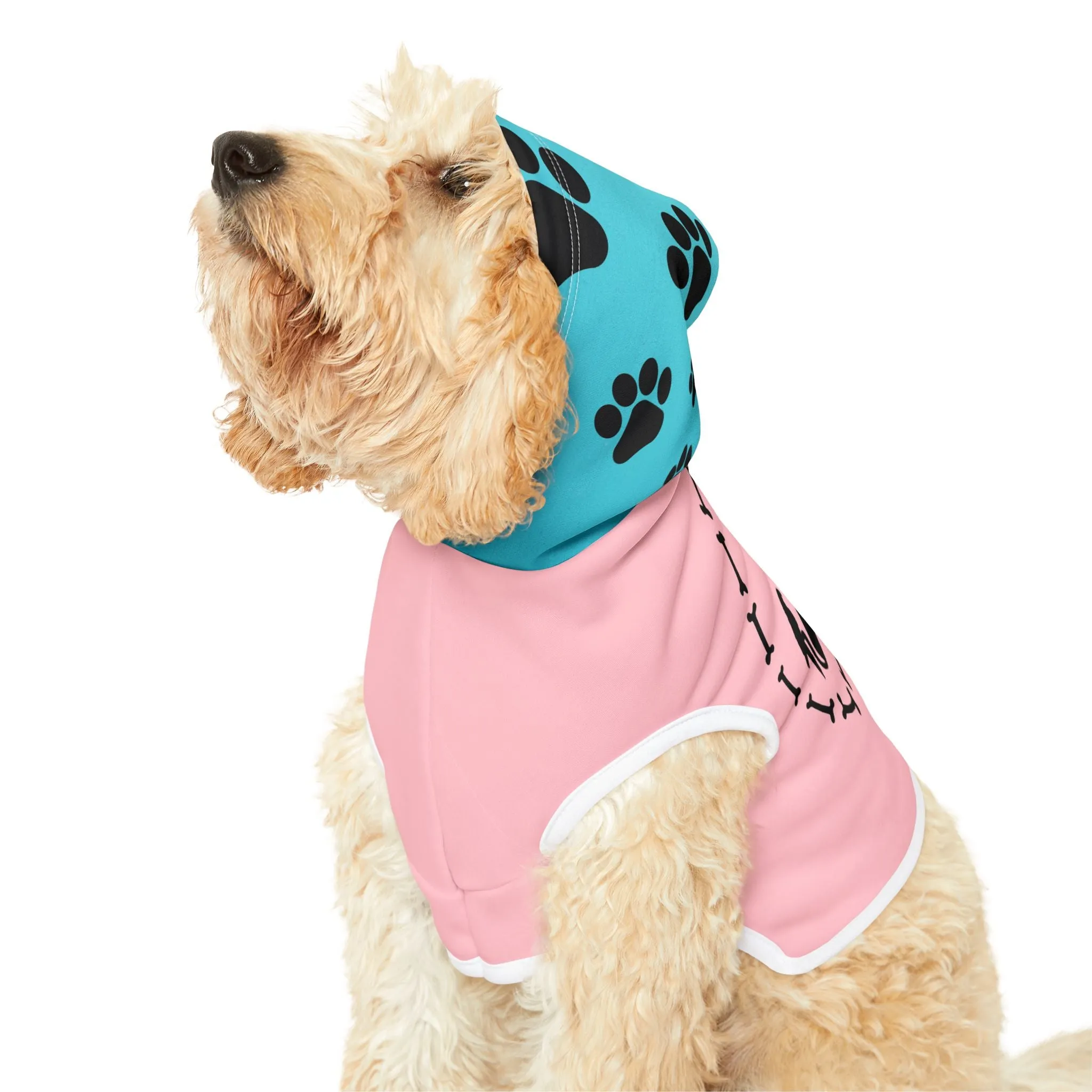 Pet Pals Paired Paws Pullovers Pet Hoodie