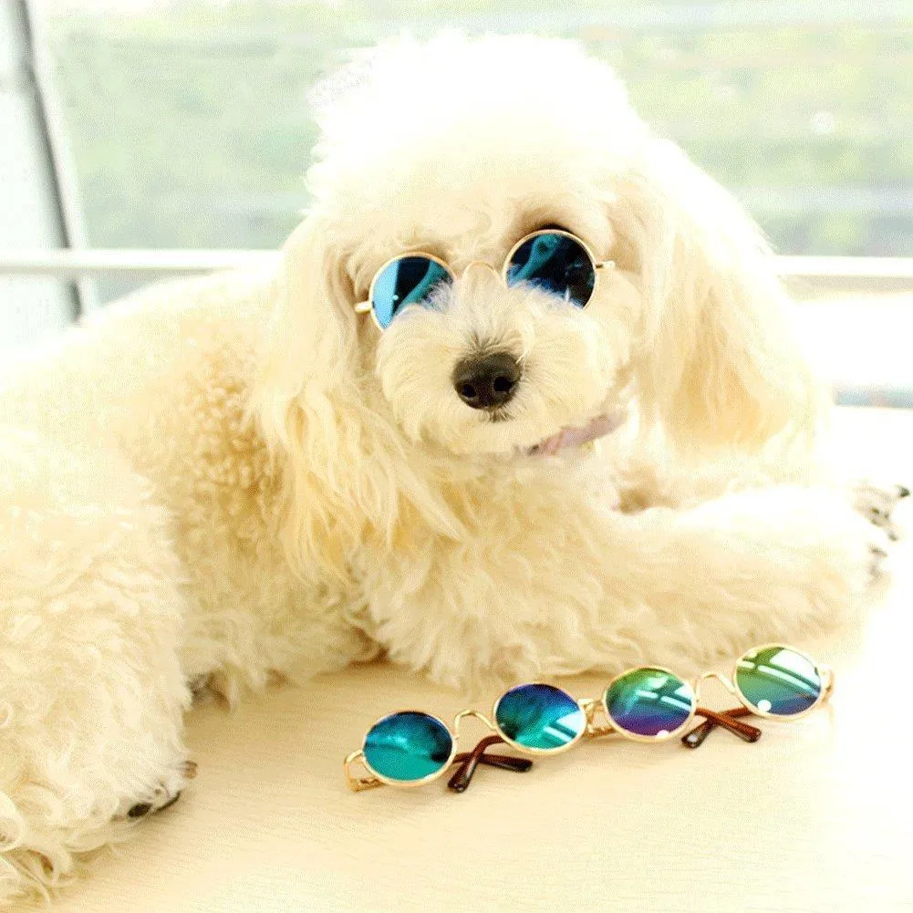 Pet Sunglasses