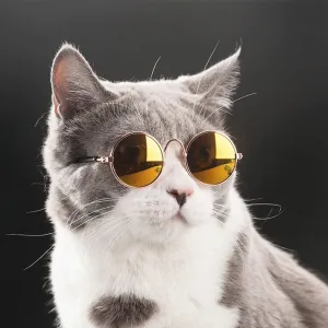 Pet Sunglasses