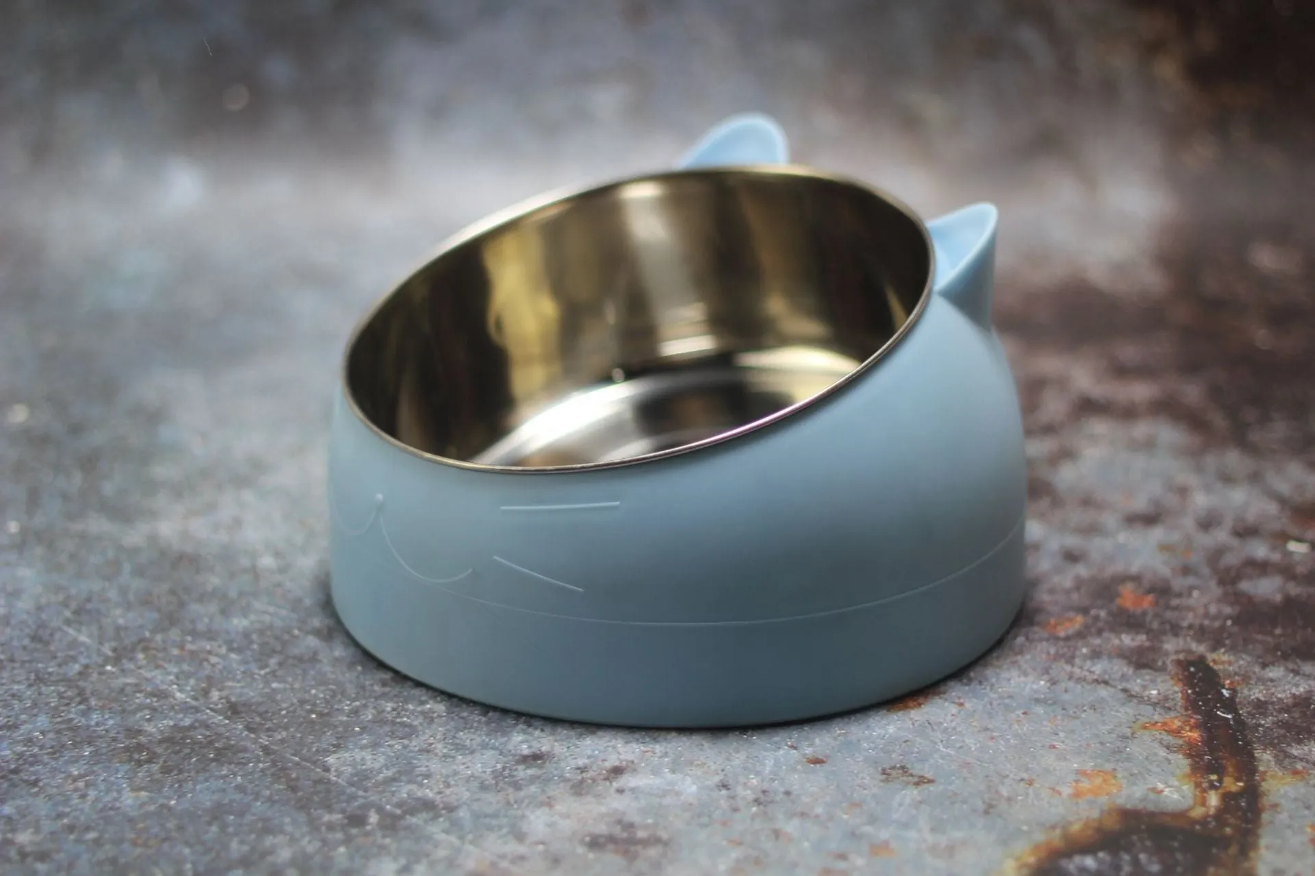 Protective Cervical Cat Bowl Oblique Mouth Pet Bowl with Inclined Design