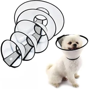 Translucent E-Collar
