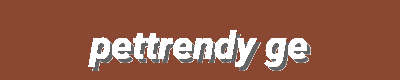 Pet Fashion & Technology – Dog Hoodies, Bandanas, Automatic Pet Feeders & More